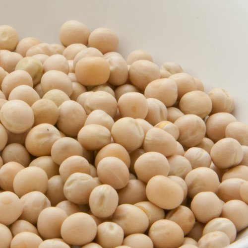 _˃A[eB[ zCgs[X 20kg y1kg×20܁z White Peas ǂ gbp[s[X   Ɩp