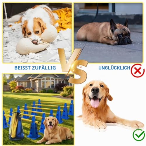 XEIYEI 6er Sports Steckhürdenset Cavaletti Agility Set Hunde Hürden Steckhürdenset 12 Kegel 32cm + 6 Stangen 80cm Agility Koordinationstraining Set für Kinder Hunde Teamsport Fussball