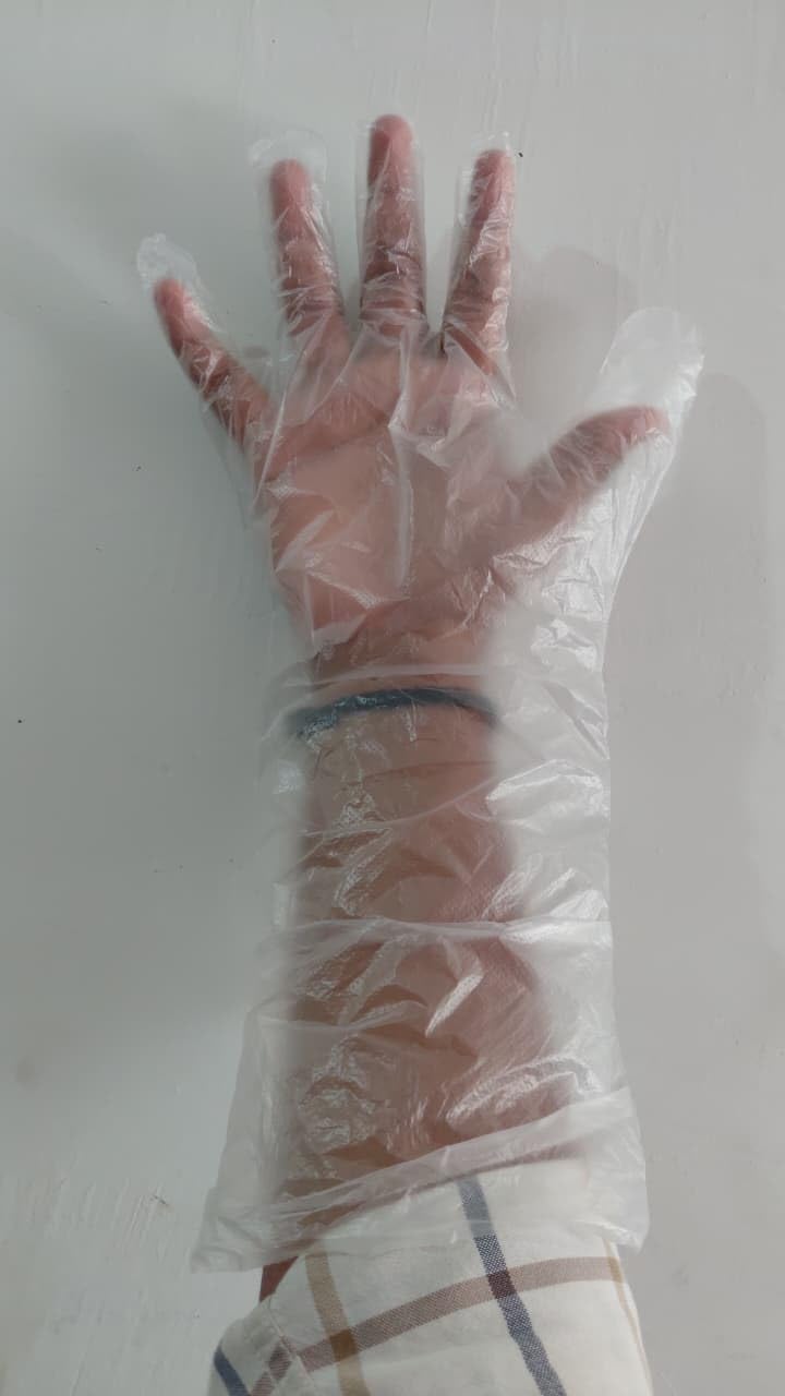 Disposable Veterinary Long Hand Transparent Plastic Gloves | Latex Free Non Sterile Single Use Gloves | Waterproof Food Safe Glove for Cleaning, Cooking, Hair Coloring (50)-image-4