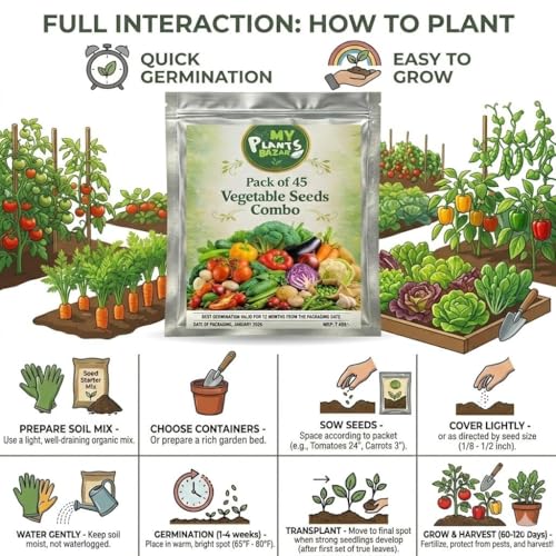 Image of All Season Veg Seeds Combo - 45 Variety Pack | 2700+ Seeds | High Germination | Kitchen Garden Kit | Balcony, Terrace & Home Gardening