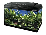 Haquoss Evolution 50 Aquarium 50 x 30 x 44h cm, 46 Liter, mit Licht LED 6 Watt, komplett bestückt