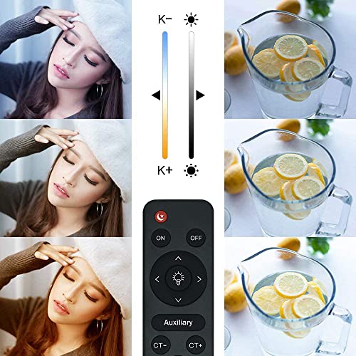 【Upgrade Led】 Mountdog Softbox Lighting Kit, Photography Studio Light With 19.7"X27.5" Reflector And 3 Colors Temperature 45W Bulb With Remote, Professional Photo Studio Equipment For Portrait Video #TOP1