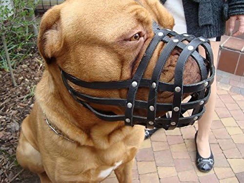 L&J Pets Uk Light leather Dog Muzzle for Dogue de Bordeaux and Bullmastiff and Other (Black Leather, DB1) - Image 4
