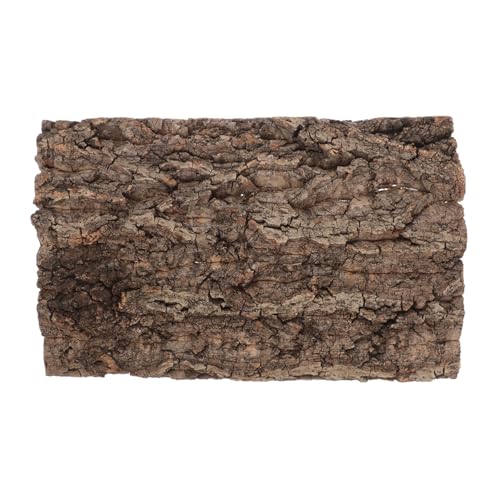 VILLFUL ̑{[h gbNou gsA[ t[gC}EX ̑ 킢wbhoh tgASqQgJQ̑ ঒ނ̗t ؐ Coffee