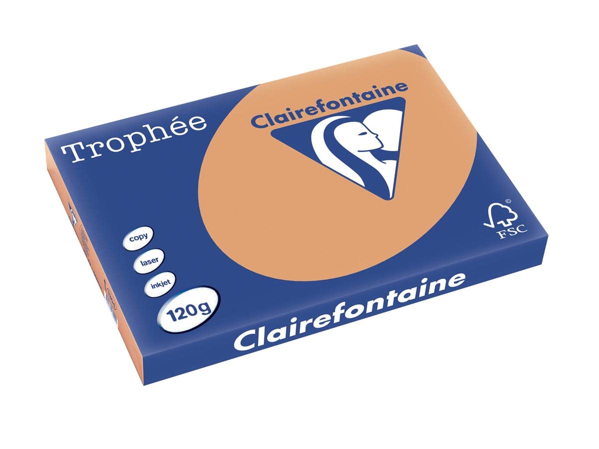 Clairfontaine 1304 - 250 feuilles A3 120g/m2 - caramel