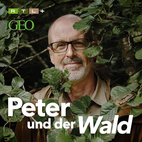 Peter und der Wald &ndash; ein GEO-Podcast cover art