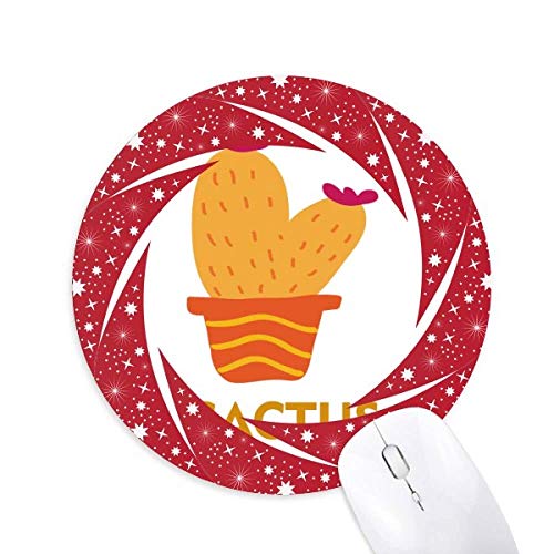 IWT{e̔ȂA ~`S̐Ԃ̃zC[pbh