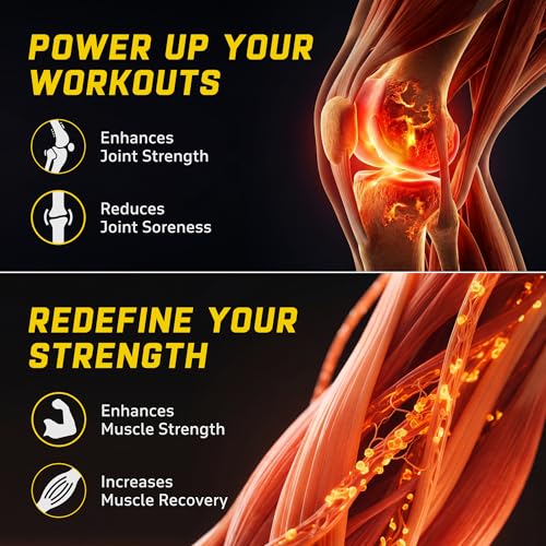Image of YouWeFit Pro-Vegetarian Omega 3 Capsules 1000mg 60 Capsules | 250mg DHA 200mg ALA & 50mg EPA | Algal Oil + Flaxseed Oil Formula | Astaxanthin Curcumin & Selenium | Heart Brain Joint & Recovery Support