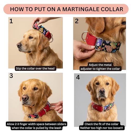 Image of Dog-O-Bow Pokemon Print Martingale Dog Collar, Durable, Comfortable & Adjustable Training Collar (M)