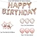 15th Birthday Decorations Party Supplies,15th Birthday Balloons Rose Gold,Number 15 Mylar Balloon,Latex Balloon Decoration,Sweet 15th Birthday for Photo Props