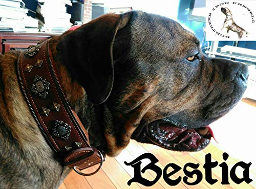 Bestia "Aztec Genuine Leather Big Dog Collar. Studded. 2.5 Inch Wide. Unique Rivet Design. Handmade. Soft Padded With Foam And Leather. Rottweiler, Cane Corso, Mastiffs, Dogo, Bully, American Bulldog #TOP2