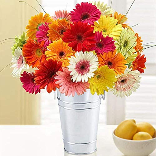 Pittura con diamantini per adulti con vaso di