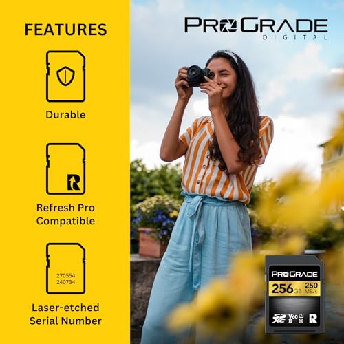 ProGrade Digital V60 256GB