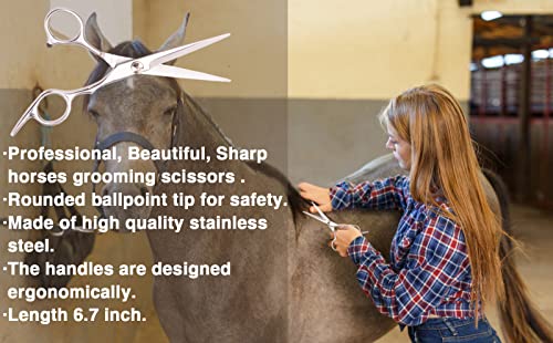 Horse Grooming Kit （10-Piece） With Tote，Horse Cleaning Tool Set With Assorted Hair And Curry Comb, Hoof Pick Sweat Scraper，Grooming Scissors，Portable Black Storage Bag，Riding Equipment For Beginners #TOP4