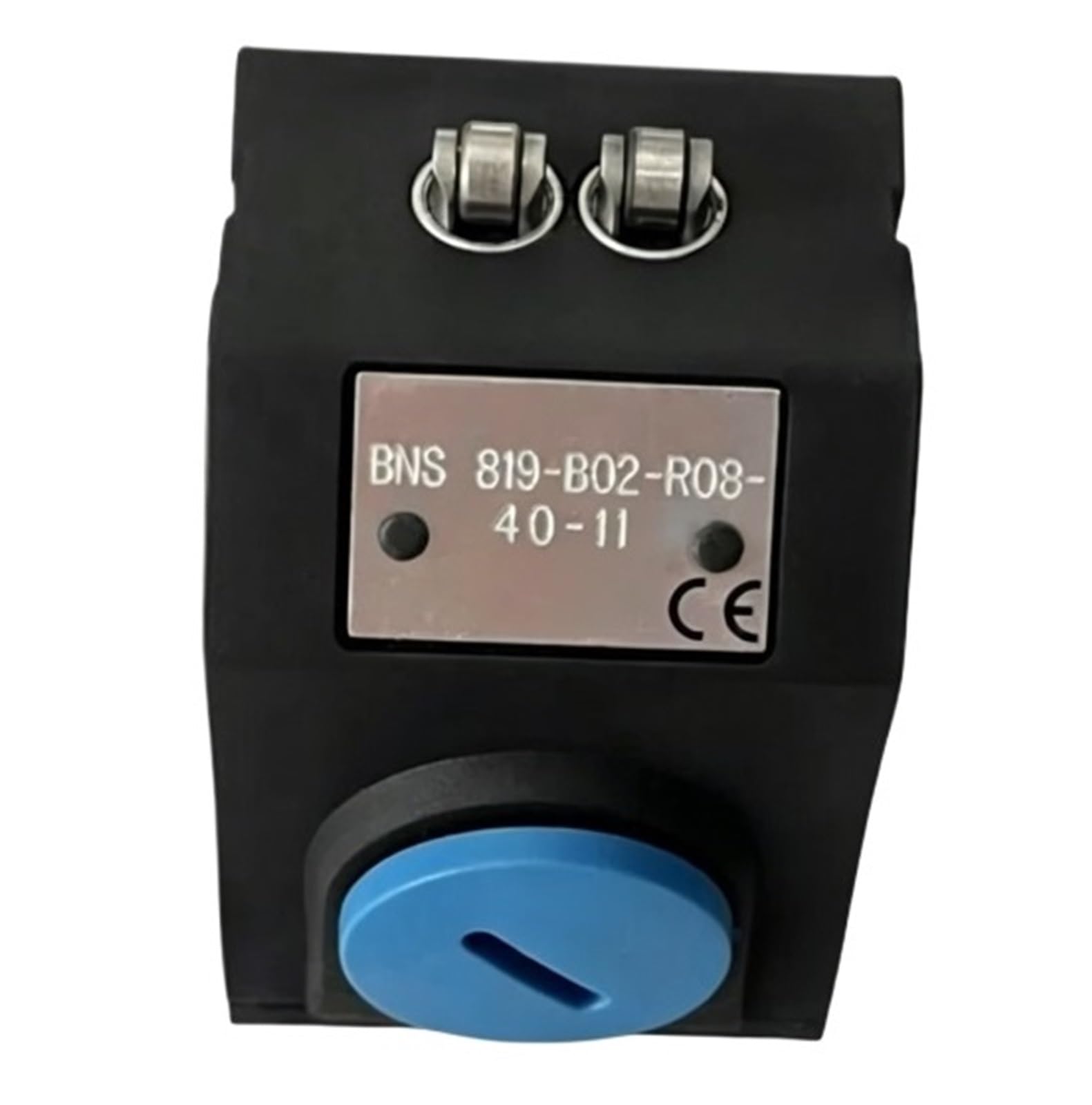 TSCFHGQI BNS819-B02-R08-40-11 travel switch