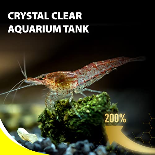 GOOD PARTNER Purify Series For Algae Wafers Pleco Food