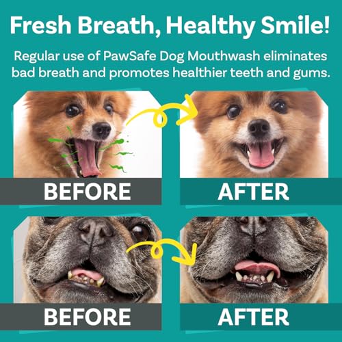 Dog-Mouthwash-Dental-Water-Additive-for-Fresh-Breath-Plaque-Tartar-Control-Best-Natural-Cleaning-Freshener-Formula-for-Healthy-Teeth-Gums-Advanced-Easy-to-Use-Oral-Care-Solution
