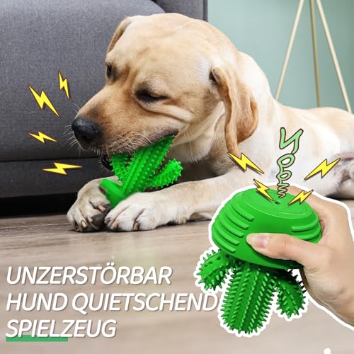 HETOO Hundespielzeug für Aggressives Kauen, Kauspielzeug Hund Fast Unzerstörbar, Quietschend Hunde Spielzeug Für Mittelgroße Hunde, Robuster Langlebig Gummi Dog Toys (Kaktus)