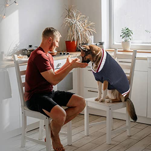 Dora Bridal Dog Sweater, Pullover Pet Knitwear Sweatshirt, Puppy Warm Fall Winter Shirt With Leash Hole, Classy Striped Boyfriend Stylish Doggy Clothes, Cozy Soft Pup Jacket For Small Medium Dogs #TOP3