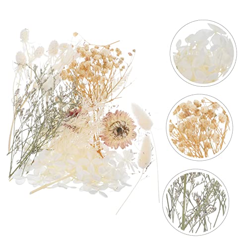 Set de flores secas prensadas para manualidades miniatura 3