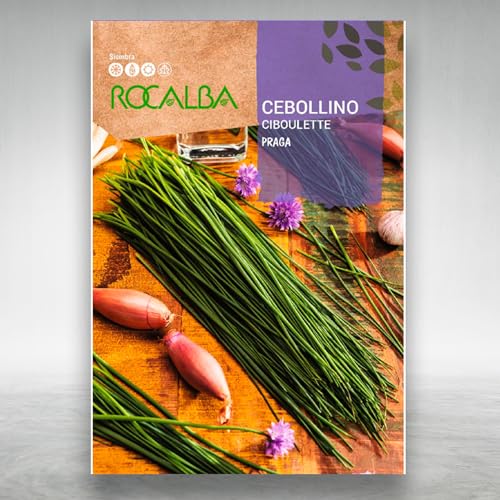 Semillas Cebollino PROFESIONAL Variedad Praga | Sobre 2 Gramos | Cebollino de gran sabor y variedad muy sabrosa | De Grandísima Producción | Nexum Market
