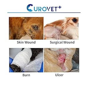 Healimaxwoundcaregelfordogsandcats035ozsafeandeasycarewith100naturalingredientsburnulcerandsurgicalwound Urban Country Home Decor Healimax wound care gel for dogs and cats 035oz safe and easy care with 100 natural ingredients burn ulcer and surgical wound urban country home decor
