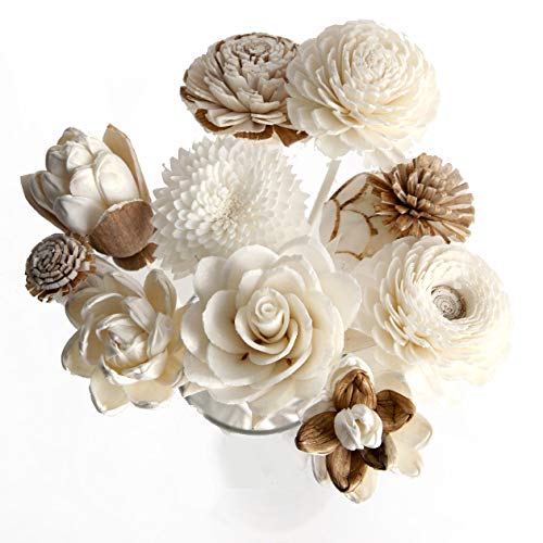 10 Mixed Sola Flower Reed Diffuser for Home Fragrance Aroma Oil by Plawanature