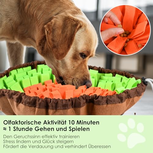 Gaethra Schnüffelteppich für Hunde, Snuffle Mat for Dog, Langlebig Schnüffeldecke, Größenverstellbar, Waschbar, für Intelligenz und Dufttraining, langsames Fressen und Stressabbau (Grüner + Orange)