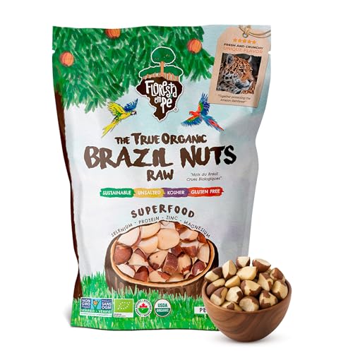 Castanha-do-Pará Inteira Sem Sal 500g – Fonte de Proteína Vegetal