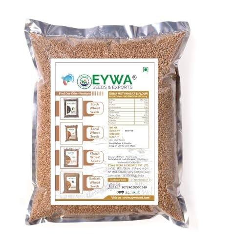 Image of Organic Sonamoti Wheat Grains Seeds (10 Kgs) | For Farming, Sowing & Agriculture Use | Produce of India | 100% Natural & Non-GMO | By Eywa