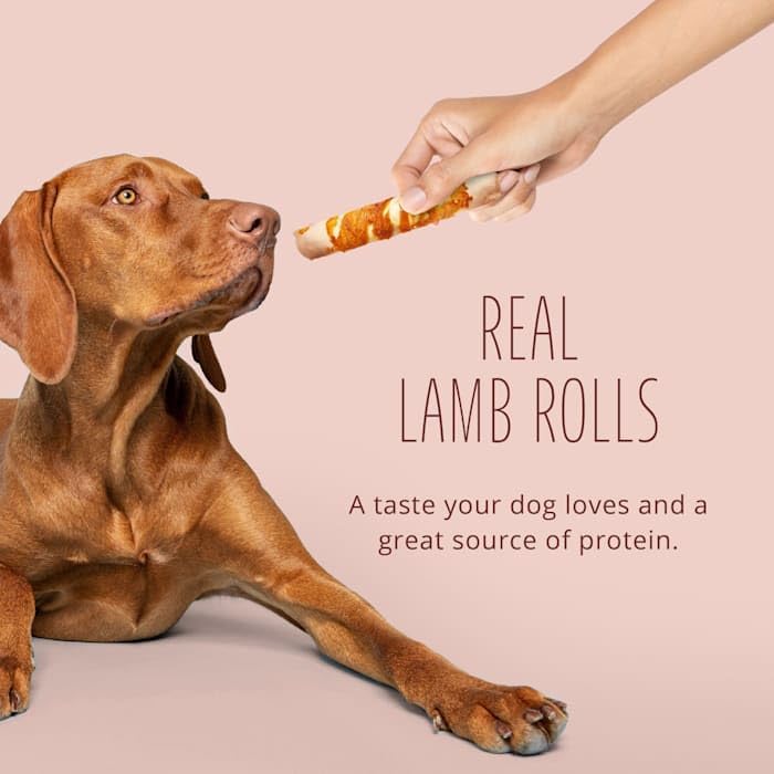 Better Belly Proteins with Real Lamb Digestible Large Dog Chew, 12.1 oz., Count of 3