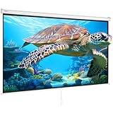 VEVOR Projektion Beamer Leinwand 254 cm HD 4K Outdoor Indoor Manuelle Projektor Screen Schnelles Klappbare Tragbare Filmleinwand 16: 9 für Heimkino, Camping und Freizeitveranstaltungen Schwarz - 9
