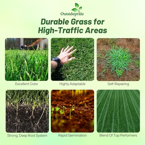 Grass Seed Blend For Shady Lawns Low Sunlight