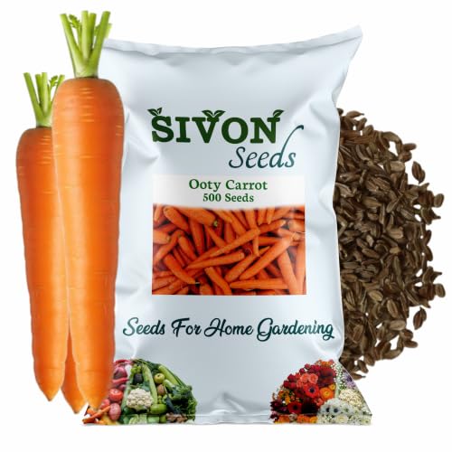 Image of SIVON Ooty Carrot (Ooty Gajar) (500 Seeds) Vegetable Seeds for Home Garden, Organic & Hybrid, Perfect for Home Gardening, Planting For Pots and Patio