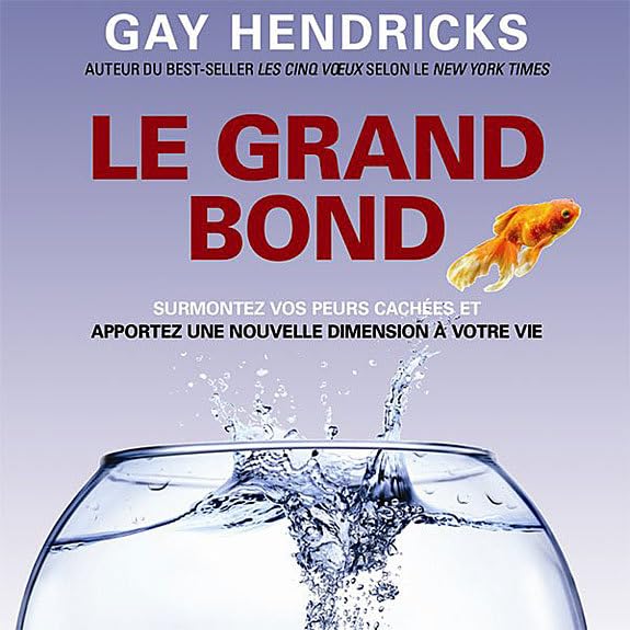 Le grand bond (Baisse de prix) [Audio CD] Hendricks, Gay