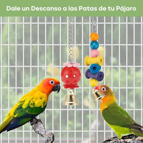 La Mejor Recopilación de Cotorro - solo los mejores. 7 La Mejor Recopilación de Cotorro - solo los mejores. 6