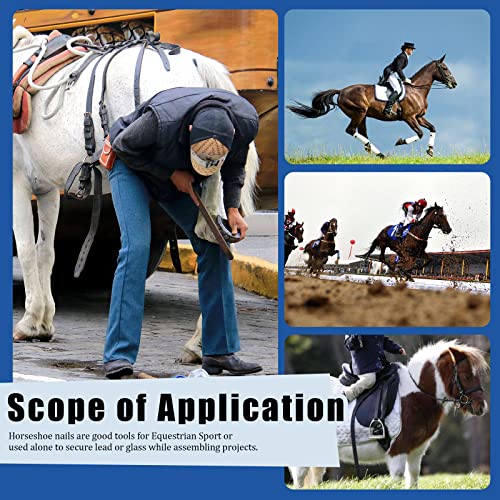 Clous pour fer à cheval Glarks E2 à E6 en acier avec assortiment de 130 pièces - 8