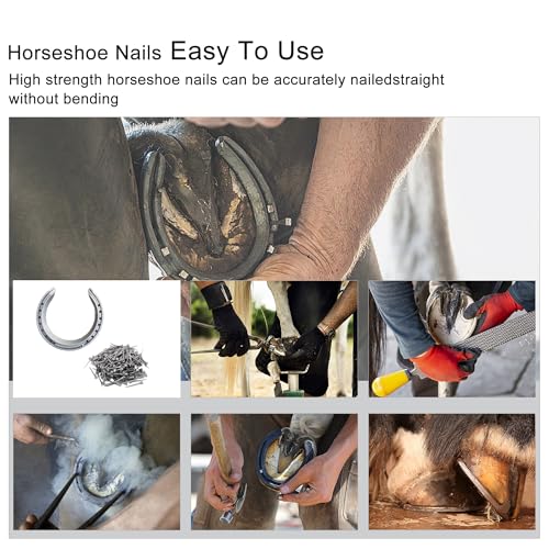 Image of Steel 2 inch Horseshoe Nails E5 Horseshoe Nails Box of 250pcs | Stainless Steel Nail-Horse Hoof Training Supplies Tool for Securing Firmly