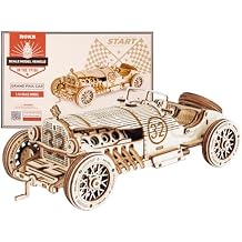 ROKR 3D Wooden Puzzle for Adults Mechanical Car Model-DIY Building Vehicle Kits-Brain Teaser Toys-Gift for Men Women on Birthday/Christmas DayGrand Prix Car