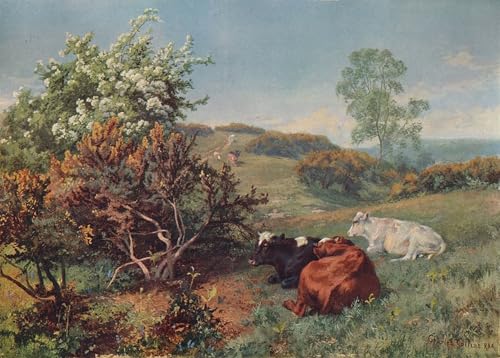 Affiche paysage avec animal de Charles Collins impression sur toile nature 60x90cm