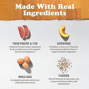 Now-Fresh-Dry-Dog-Food-for-Small-Breed-Puppies-Turkey-Salmon-and-Duck-Recipe-35-lbs-Grain-Free-Small-Breed-Puppy-Food-Made-with-Real-Meat-and-Fish-for-Small-and-Mini-Breeds - Cucciolini Doodles   Now-Fresh-Dry-Dog-Food-for-Small-Breed-Puppies-Turkey-Salmon-and-Duck-Recipe-35-lbs-Grain-Free-Small-Breed-Puppy-Food-Made-with-Real-Meat-and-Fish-for-Small-and-Mini-Breeds