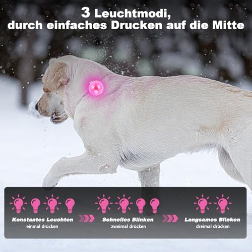 AHJ Hundelicht LED Aufladbar 2 Stück, USB-Sicherheits-Leuchtanhänger mit Blinklicht für Hunde & Katzen – kinderleicht an Schulranzen, Geschirr oder Jogger im Dunkeln befestigt( Rosa-Blau)