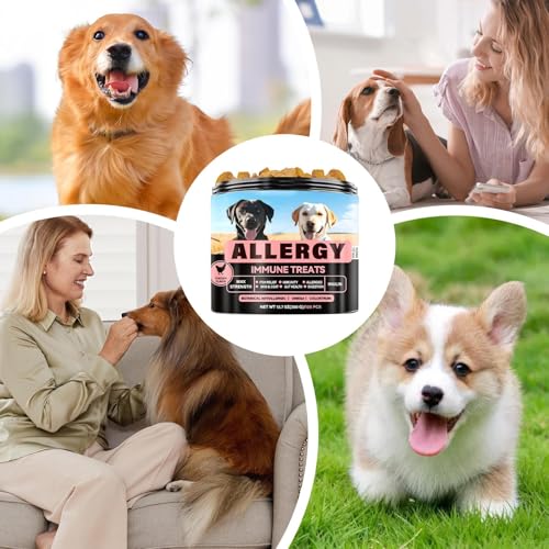 YNPQTDS Hund Allergie Kausnacks - Hund Nahrungsergänzungsmittel - Allergiemittel Bei Saisonbedingten Allergien, Immunstärkendes Ergänzungsfutter Für Aktivitäten Draußen & Drinnen