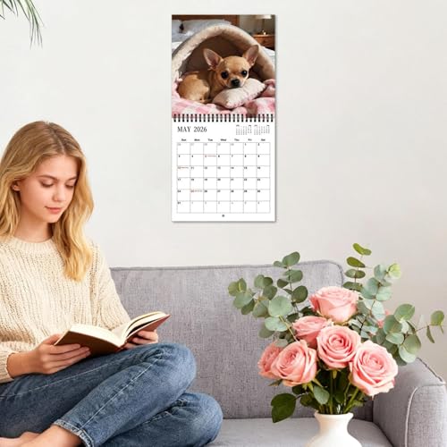 Chihuahua Kalender 2026, 21X21CM Niedlicher Chihuahua Wandkalender, Lustige Chihuahuas Wandplaner Kalender, Neuartige Chihuahuas Monatsplaner Ganze Familie, für Geschenkidee Hundeliebhaber