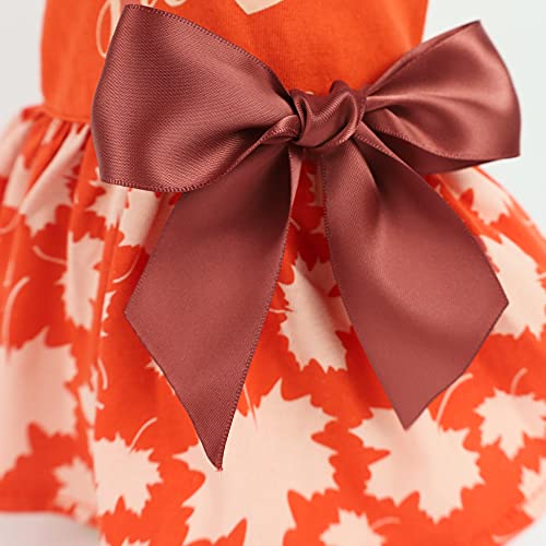 image for Fitwarm Thanksgiving Sweeter Than Pumpkin Pie Dog Dress 100% Cotton Pu
