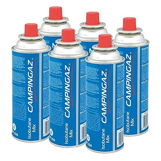 Campingaz Cartucho de gas de válvula CP 250 – Isobutano Mix (6 unidades)