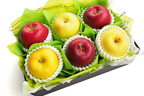 t[c}CX^[I ׂ񂲃Zbg j a v[g Ε G߂̑蕨ɂ RT