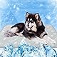 MH MYLUNE HOME Kühlmatte für Hunde Katze Thermochrome Hundekühlmatte Selbstkühlend rutschfest Wasserabsorbierend Tragbar Kühldecke für Hunde Hundedecke Kühlend Cooling Mat Dog- XL110x 80 cm