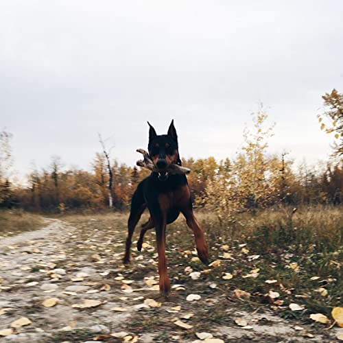 Wait.. being an alcoholic can be healthy?