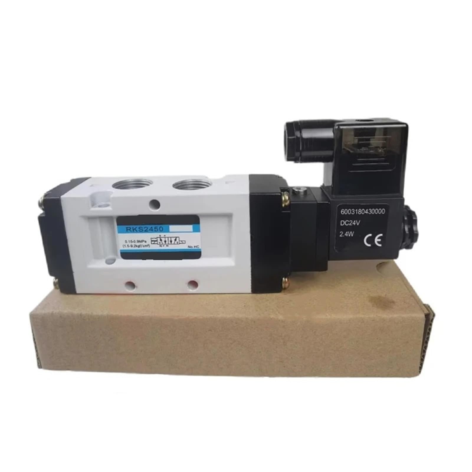 Électrovanne RKS2450 à commande électrique stable en AC220V